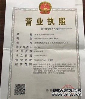 营业执照翻译模板